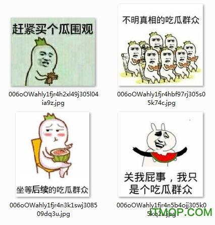 吃瓜网图表情包图片,趣味横生的网络文化现象