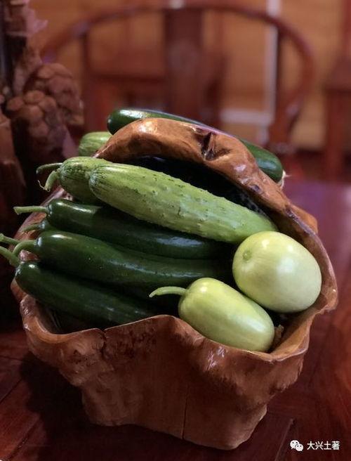 网红吃瓜群名,揭秘娱乐圈幕后风云