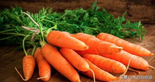 胡萝卜网红吃瓜